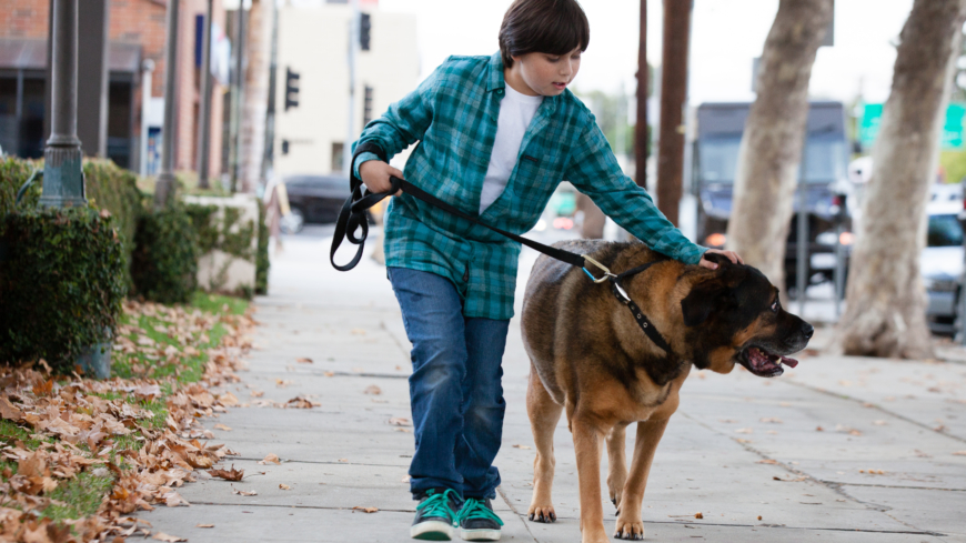 Inaktiva barn riskerar att växa upp och bli soffpotatisar